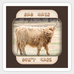 BAD HAIR - DON'T CARE Sticker